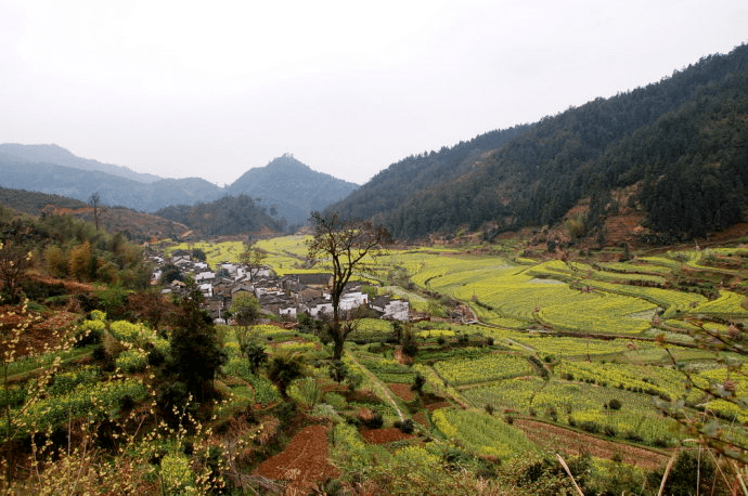 投资周记0196 春花开满山 2010-03-27