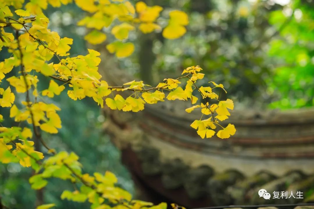 一个长期利好 2021年10月24日