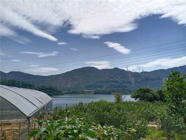 微信图片_20201026175706 微信图片_20201026175706