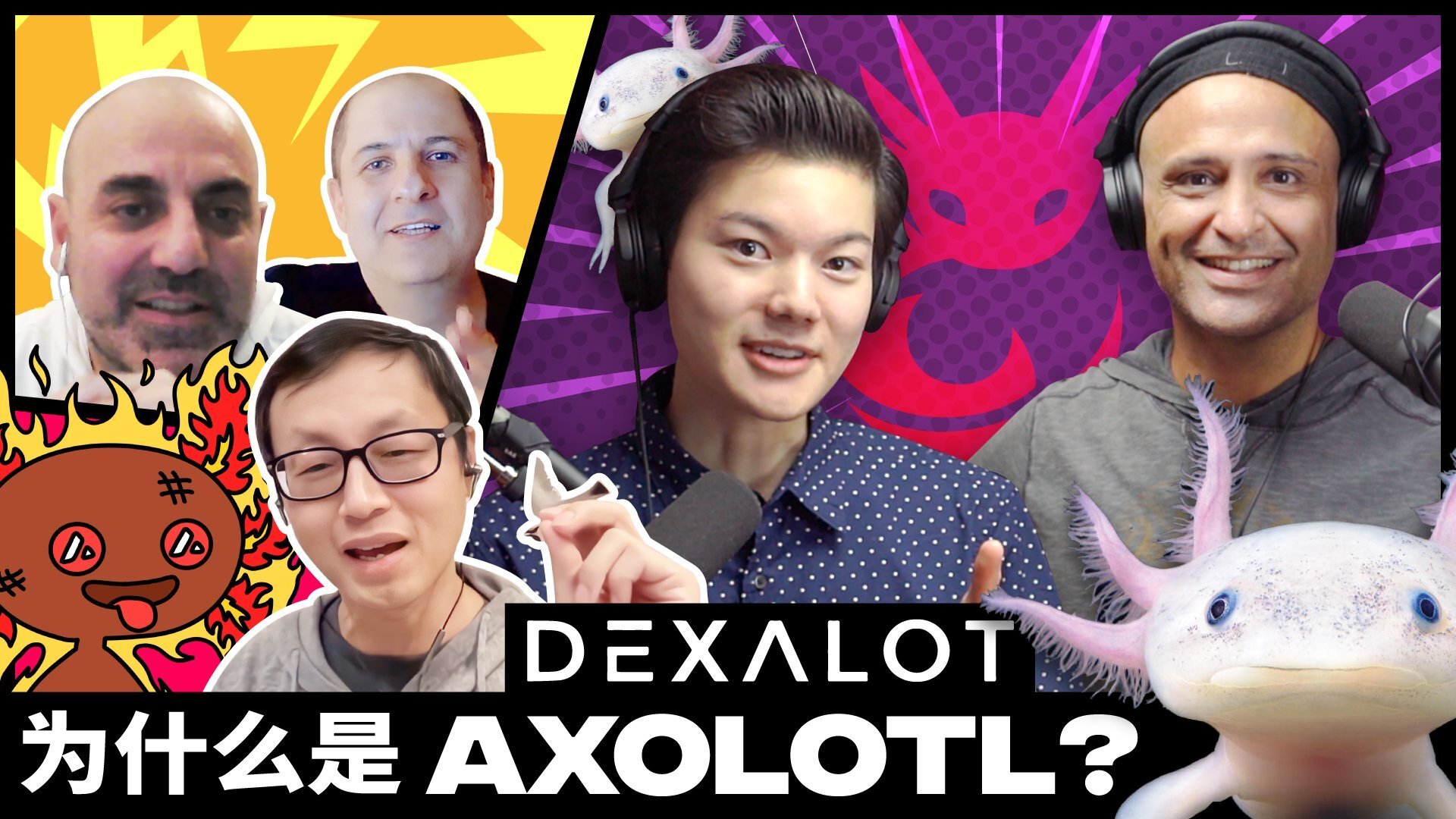 适应性是关键：Axolotl 和 Dexalot 背后的故事