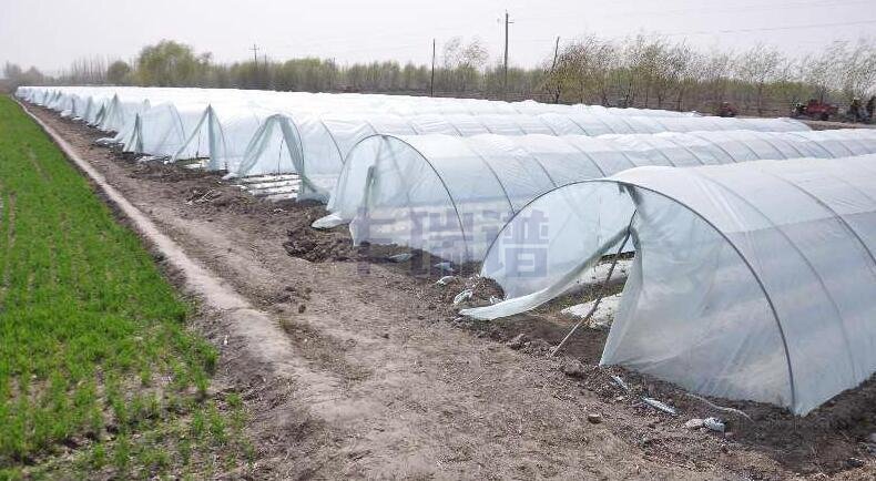 育秧苗农用玻璃纤维拱棚杆实用场景