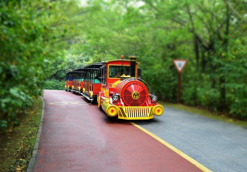 森林小火车,森林蒸汽小火车,森林轨道观光小火车