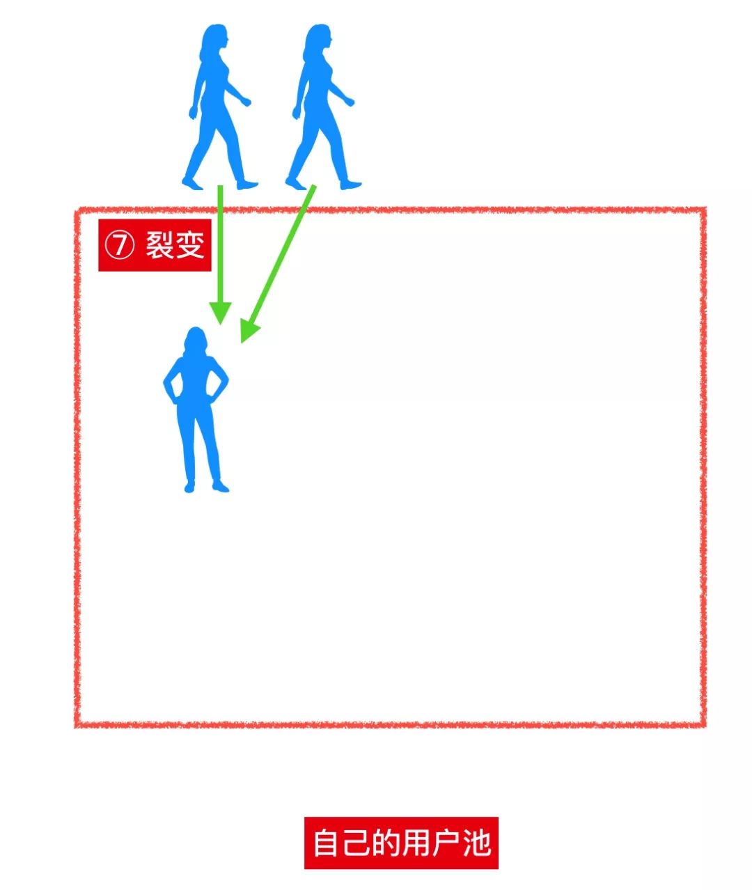 31.png