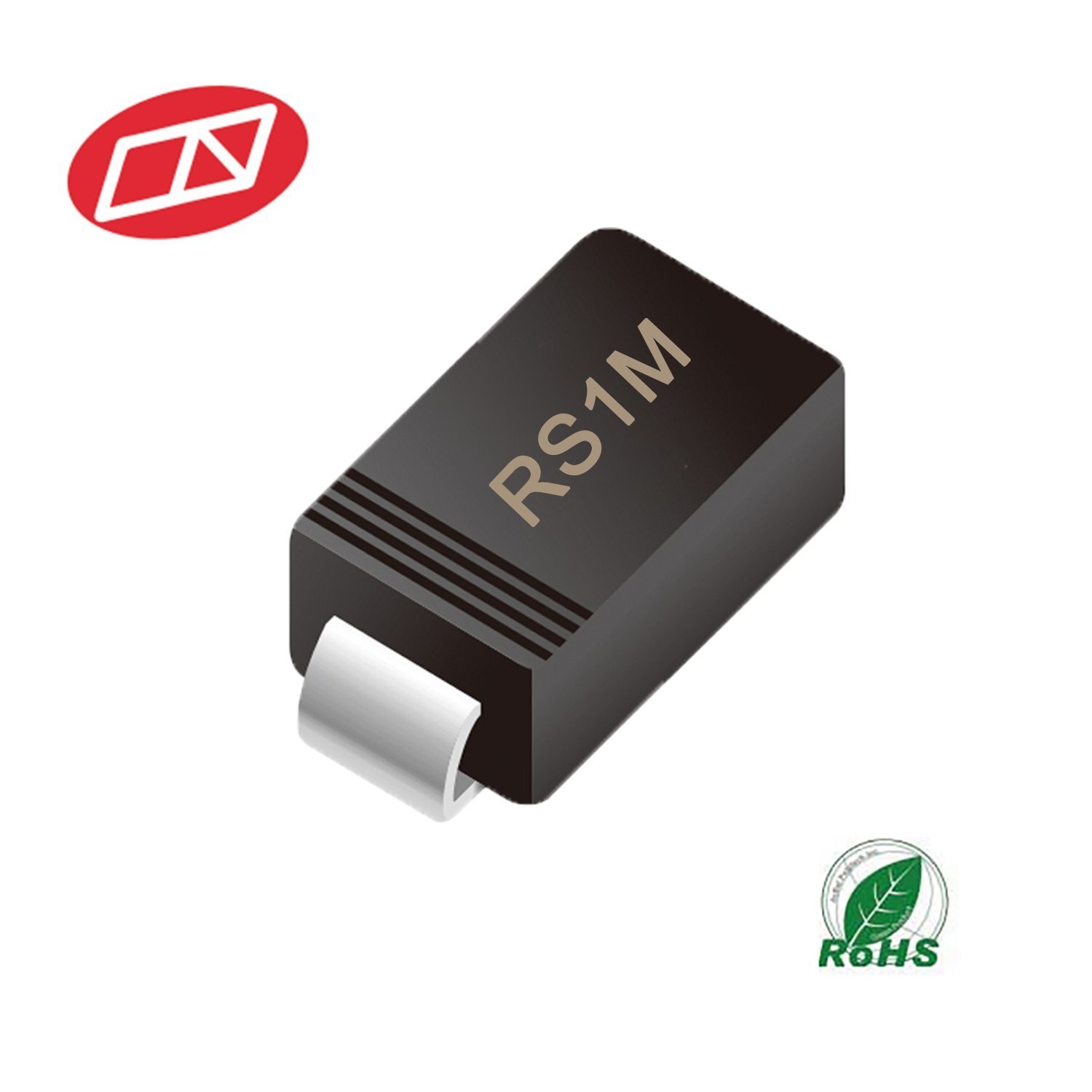 RS1M