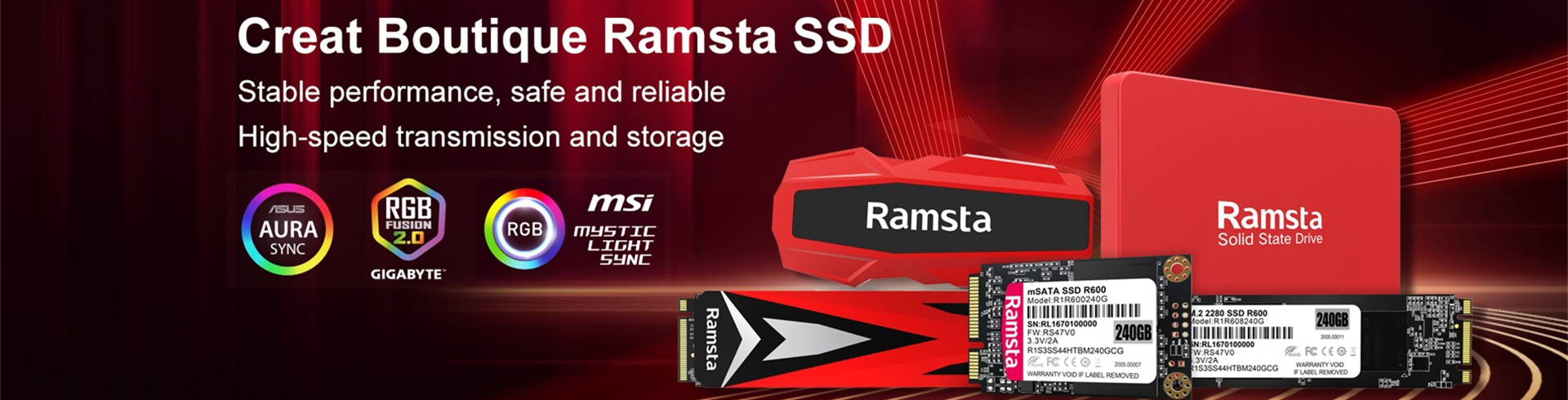 Ramsta hot sale ssd review