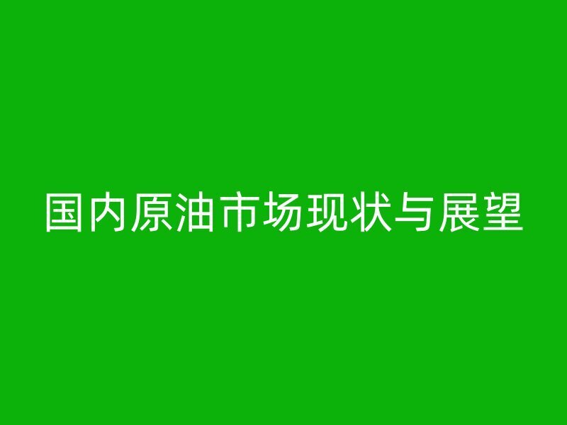 国内原油市场现状与展望