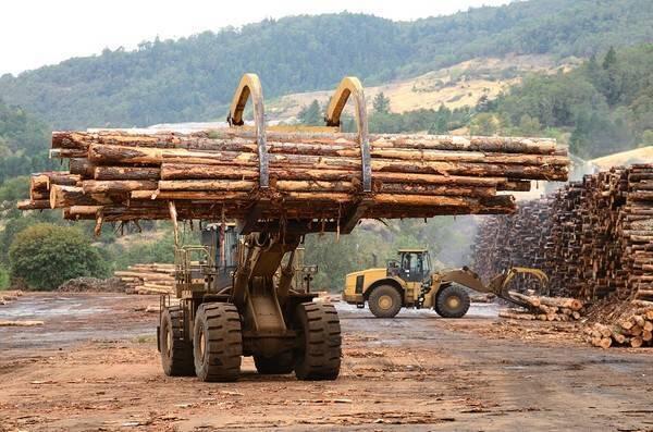 博裕木材进口申报团队解析今年红木进口