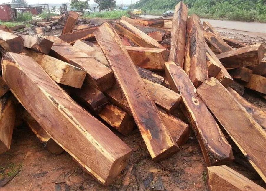 濒危木材进口申报难度加大