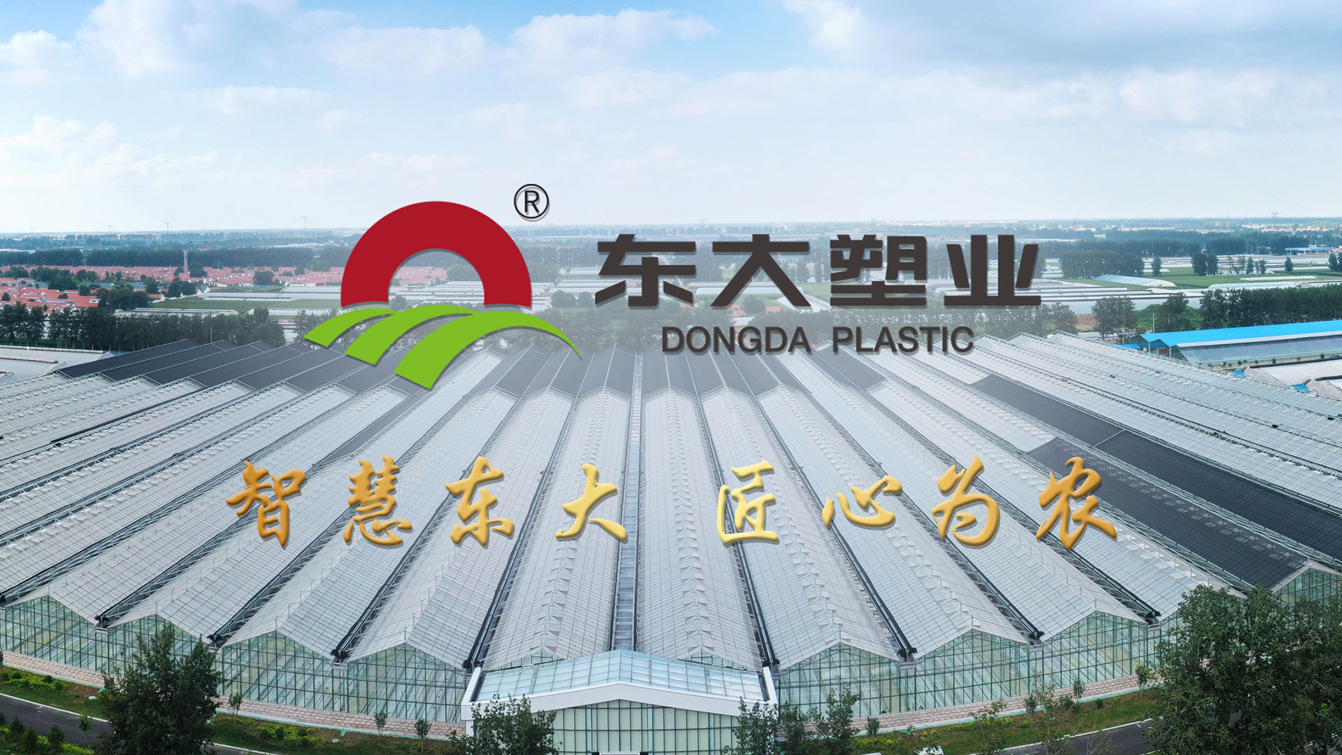 Shandong Dongda Plastic Co., Ltd.