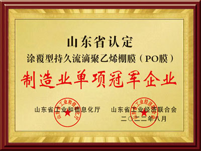 东大塑业被山东省认定po膜制造业单项冠军企业