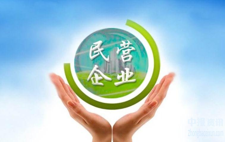 加大直接融资支持力度 加快民企IPO审核进度