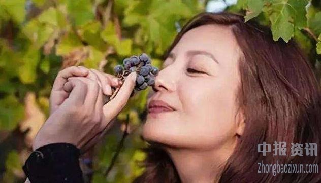赵薇和祥源文化不服一审判决已上诉 预计股民集中起诉将至
