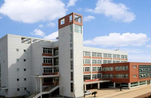 为城市赋能 华联力量擎领湾区新时代