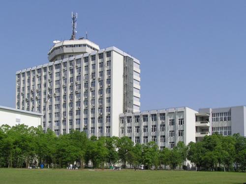 体育赛事“含苞待放” 盈利单一成行业发展瓶颈