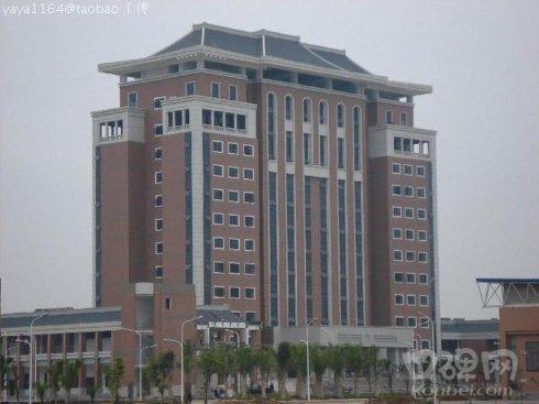 佳源国际午间复牌股价反弹 大股东初步披露质押情况