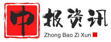 新经济 - 中报资讯