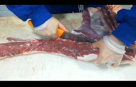新西兰羊肉分割图