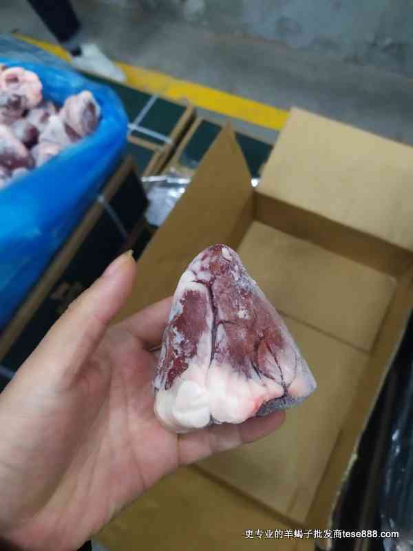 澳大利亚688羊心图