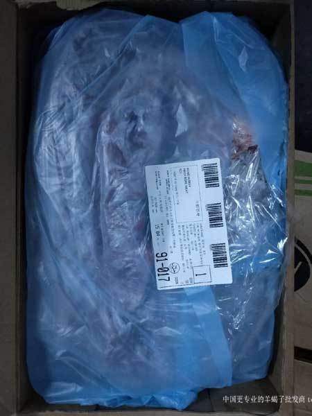 阿根廷5039厂牛脖骨图