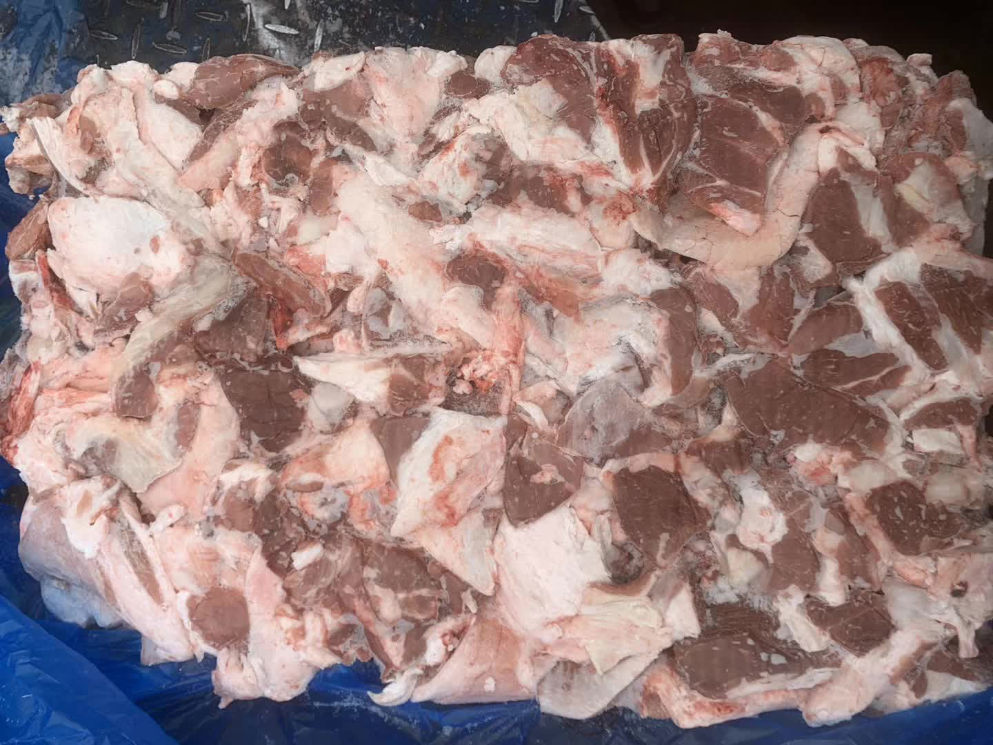 282羔羊碎肉65cl-(6)