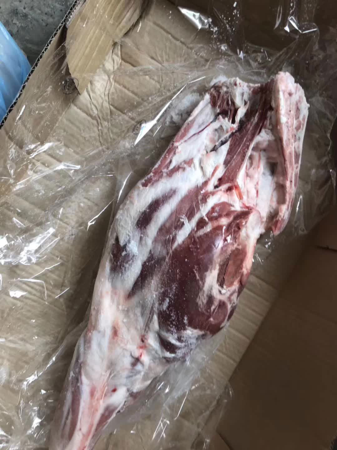 新西兰71羔羊后腿图-(3)