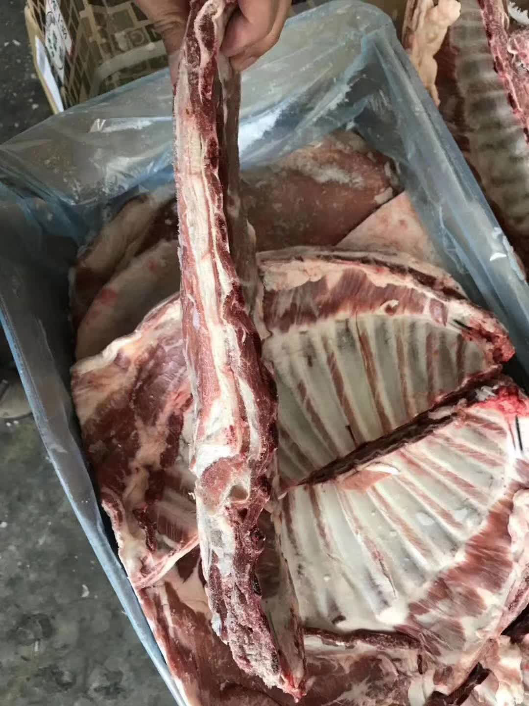新西兰128羔羊半排图-(4)