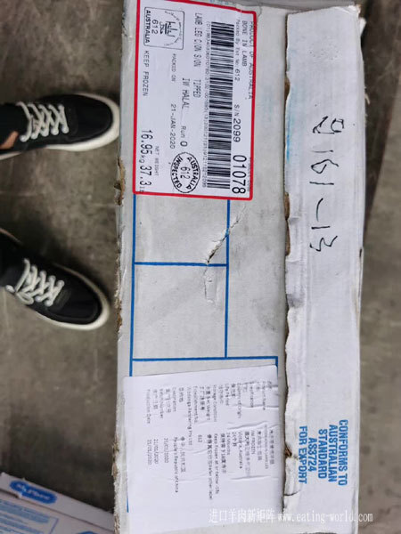 612羔羊腿-(1)
