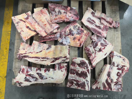 新西兰21牛胸骨-(1)
