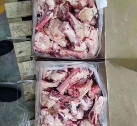 新西兰132厂牛腿骨