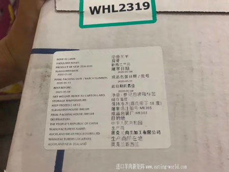103前肩骨-(1)
