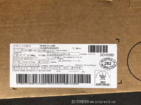 282羔羊肱骨图-(1)
