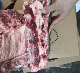 澳大利亚239厂牛腰椎骨