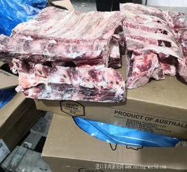 澳大利亚239腰椎骨图