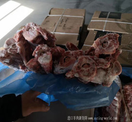 犊牛脊骨​