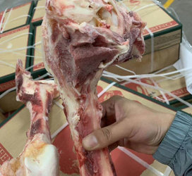 新西兰194牛腿骨