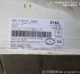澳大利亚8厂0164大羊蝎子