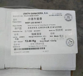 巴拿马19c牛腿骨
