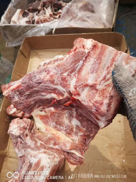 羔羊槽骨-(1)
