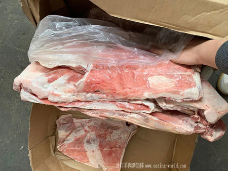 新西兰SPM135大羊排图片展示