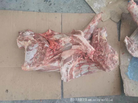 206羔羊六分体-(1)