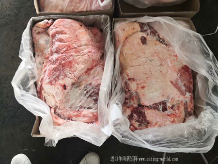 澳大利亚217大羊排-(5)