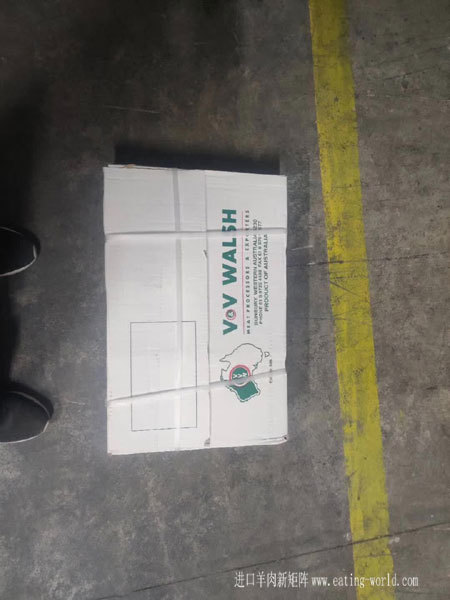 澳大利亚686羔羊胸光排-(2)