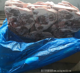 澳大利亚282羔羊半脖