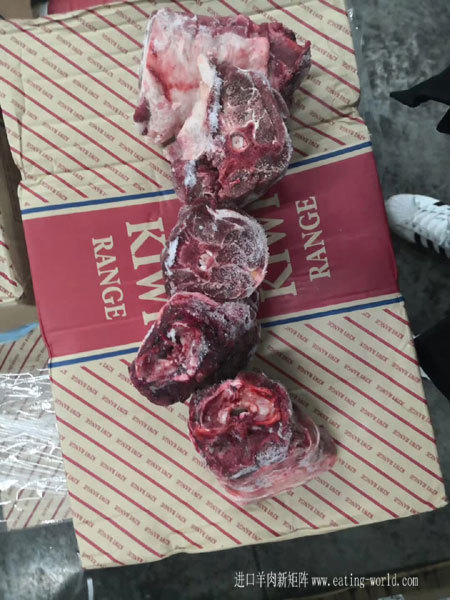 新西兰ME130大羊脖子