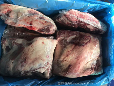 澳洲大羊方切肩-(2)