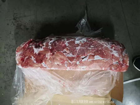 犊牛躯干-(4)