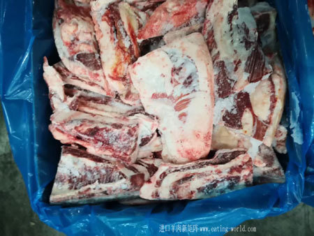 90大羊胸骨-(3)