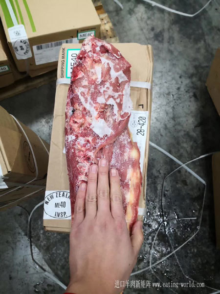 犊牛脊骨-(3)