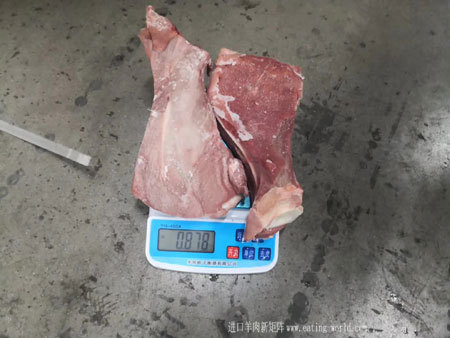 犊牛扇子骨-(4)