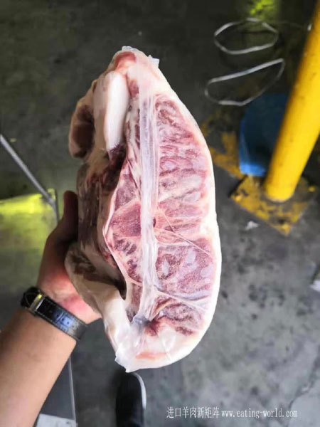 羔羊腰脊排-(2)